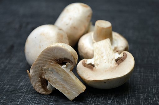 Why Everyone is Obsessed With Mushroom Supplements
